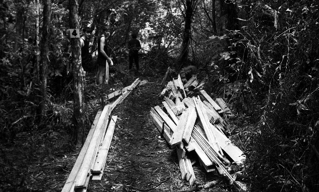 Waitengaue 1 Section 4